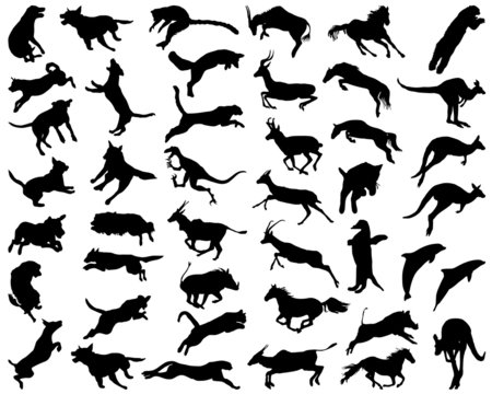 Silhouettes of animals in the high jump, vector illustration
