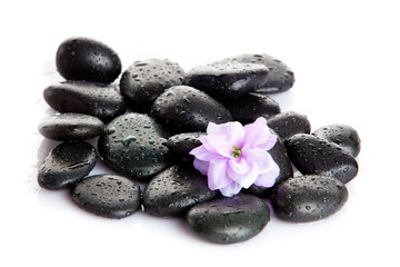 Fototapeta na wymiar Spa Stone. Zen pebbles. Stone spa and healthcare