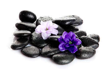 Obraz na płótnie Canvas Spa Stone. Zen pebbles. Stone spa and healthcare