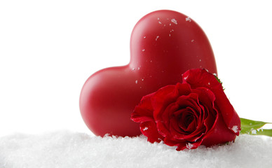 Red rose on snow background