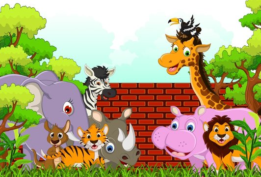 vector illustration of cute animal wildlife cartoon
