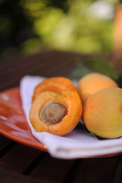Fresh apricots fruit in outdoor setting, close up with bokeh.