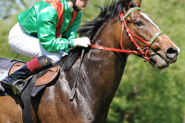 Galopprennen