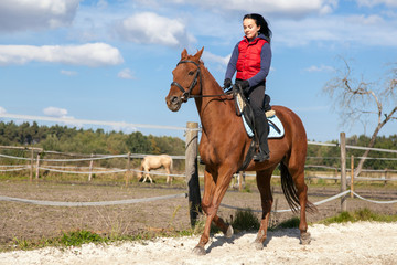 Young woman riding a horse