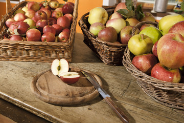 different apple varieties