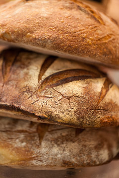 organic multigrain breads at the bakery