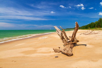 Idyllic beach of Andaman Sea in Thailand