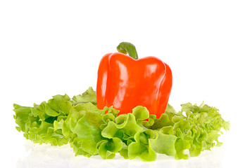 Pepper and salad leaf