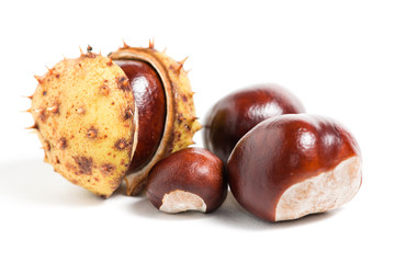 Chestnuts on white background
