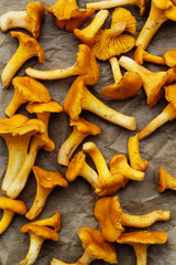 Fresh chanterelle mushrooms on a table