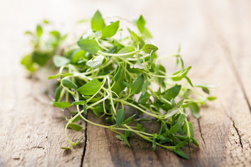 fresh thyme on wooden background