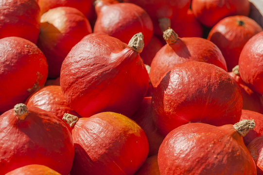 Suppenrezept, orange K&uuml;rbisse am Herbstmarkt, Schweiz