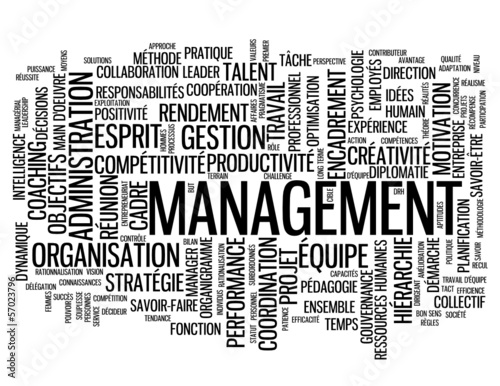 Nuage De s Management Equipe Ressources Humaines Gestion Wall Mural Web Buttons Inc