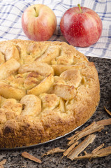 freshly baked apple cinnamon cake