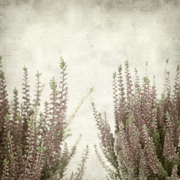 textured old paper background