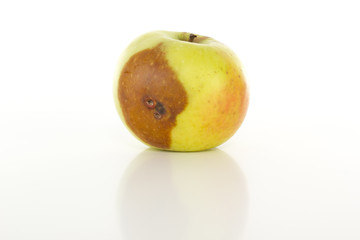 Is there a worm in that apple?