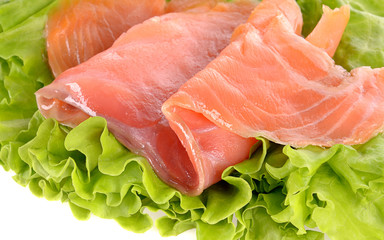 Sliced salmon fish on green salad isolated on white background