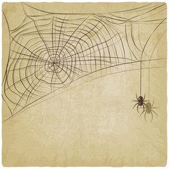 Vintage background with spider web - vector illustration