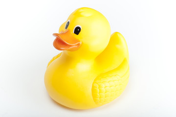 Yellow rubber duck on a white background