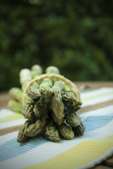 Espárragos trigueros