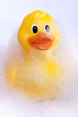 Bath time rubber duck in foam bath