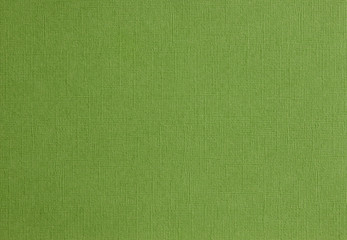 forest green blank textured background