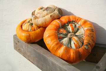 Pumpkins