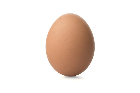 One Chicken Brown egg on white background