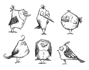 Naklejka premium Funny cartoon birds, hand drawn