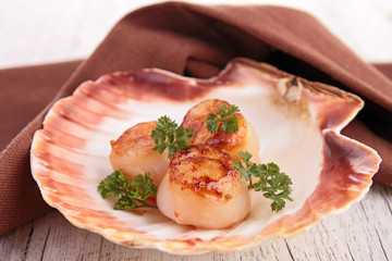 scallop