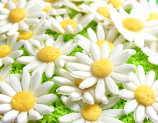 Margaritas de fondant