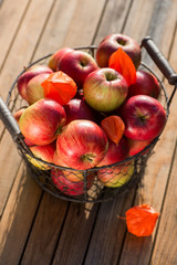 Rote Äpfel