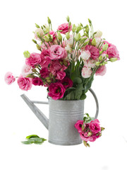 eustoma flowers in watering can