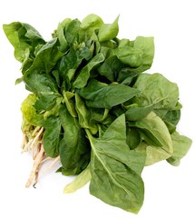 green leaves of spinach