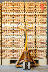 Packaged eggs on an organic chicken farm