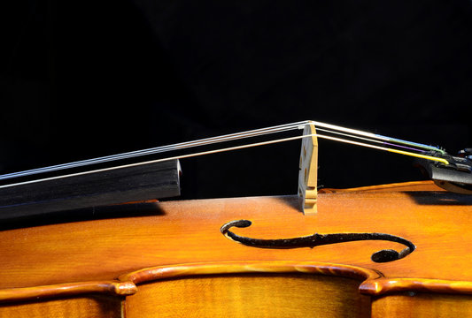 Violin bridge