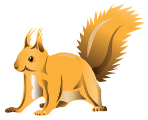 Squirrel