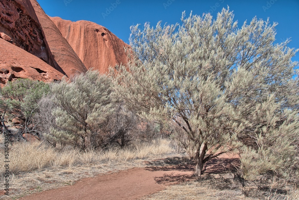 Poster Gorgeous colors of Outback Rocks and vegetation, Australia