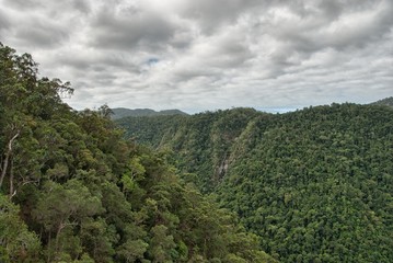 Fototapeta na wymiar Rain Forest aerial view in Northern Queensland