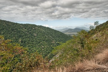 Obraz premium Rain Forest aerial view in Northern Queensland
