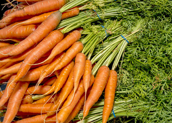 Fresh orange carrots piled in a bundle