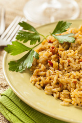 Homemade Spanish Rice with Parsley