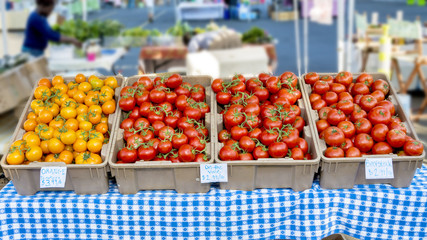 Many ripe tomatoes in totes and marked for sale