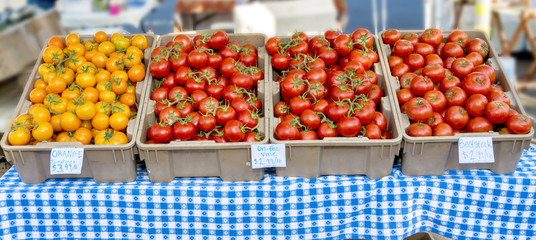 Many ripe tomatoes in totes and marked for sale