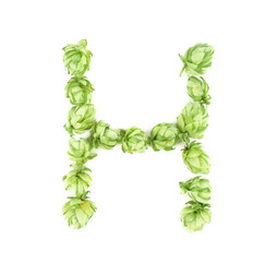 Hop flowers laid in form of letter H.