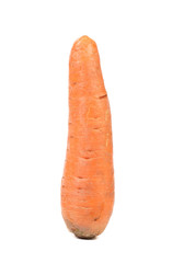 One fresh carrot