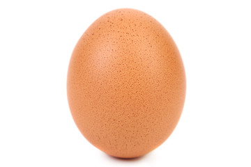 Whole egg
