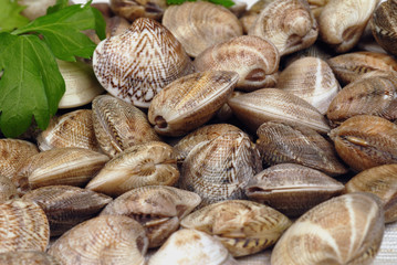 vongole con aglio e prezzemolo