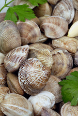 vongole con aglio e prezzemolo