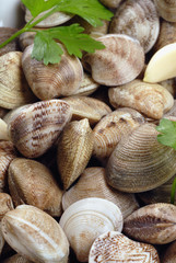 vongole con aglio e prezzemolo